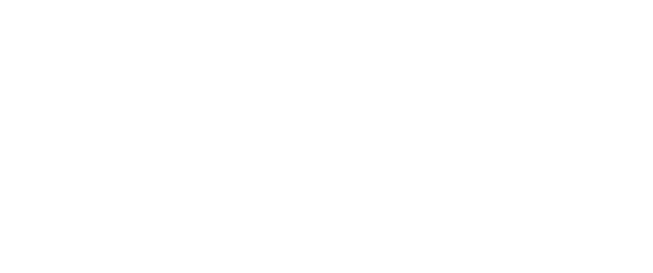 CSF Logo